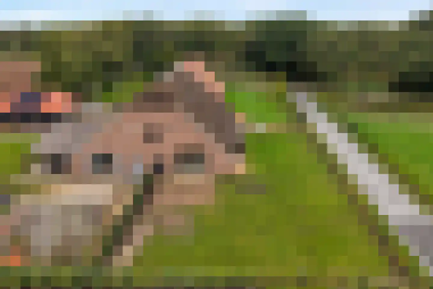 Stobbenhaarweg 7 b Radewijk thumbnail 45