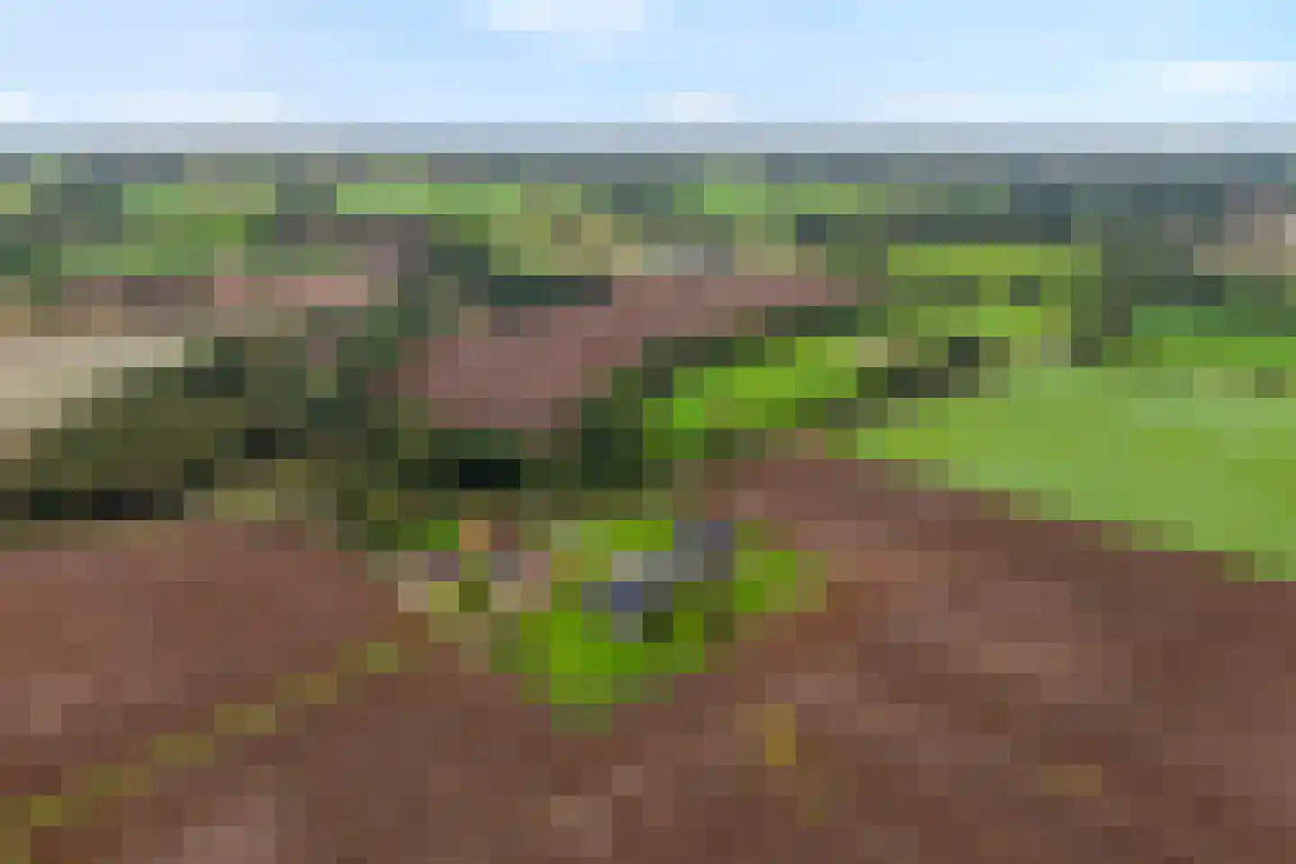 Stobbenhaarweg 7 b Radewijk thumbnail 48