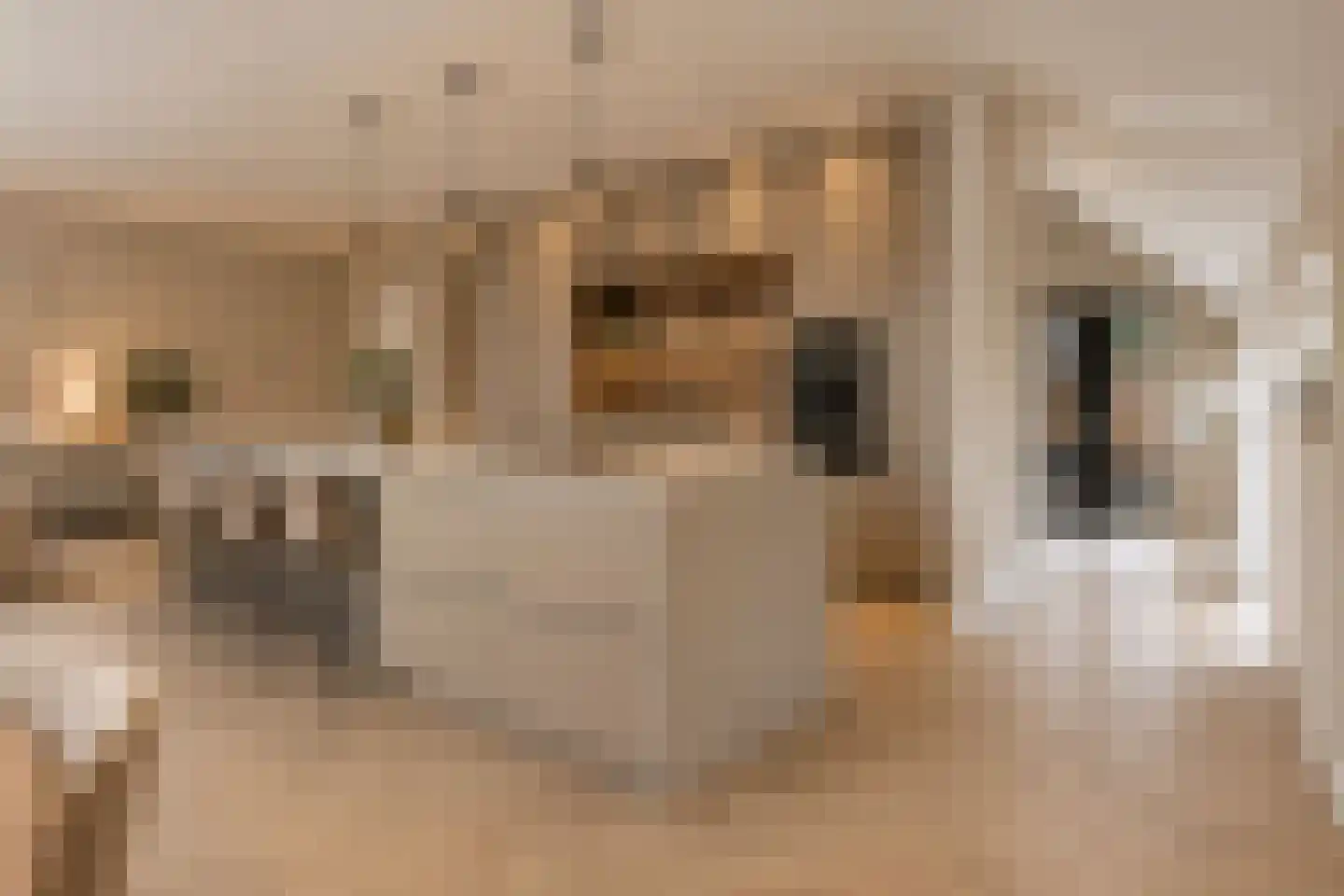 Stobbenhaarweg 7 b Radewijk thumbnail 8