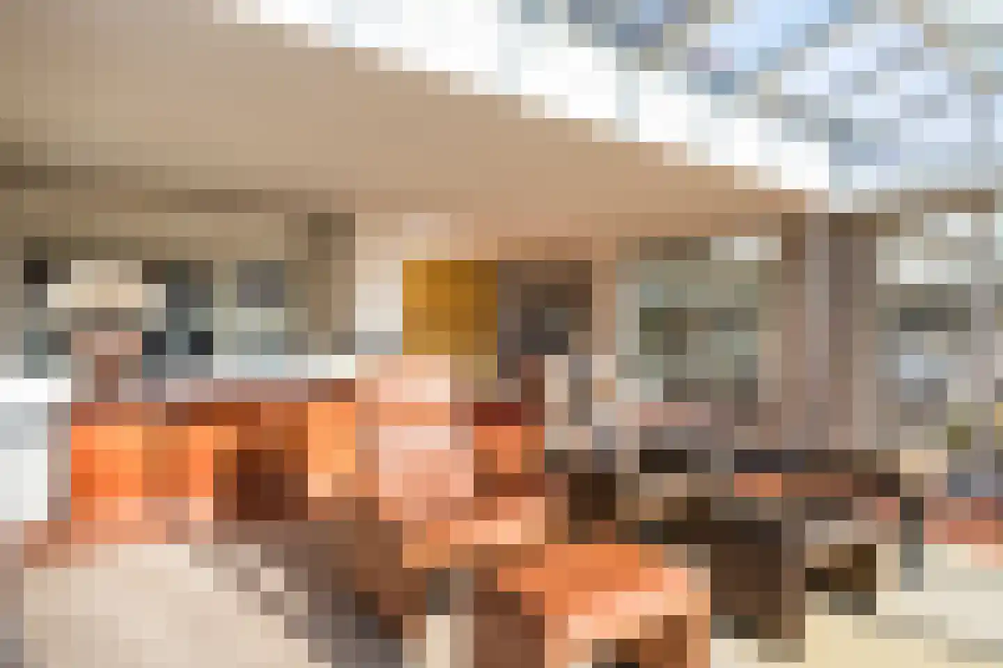 Stobbenkamp 29 Ootmarsum thumbnail 21