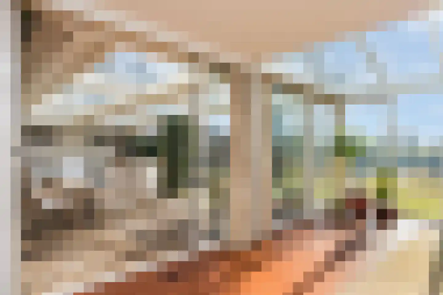 Stobbenkamp 29 Ootmarsum thumbnail 22