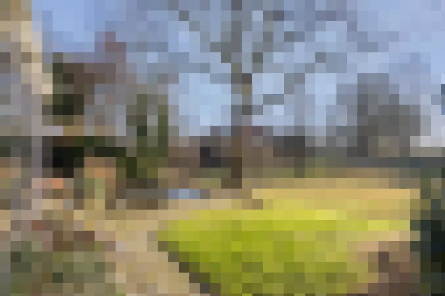 Stobbenkamp 29 Ootmarsum thumbnail 50