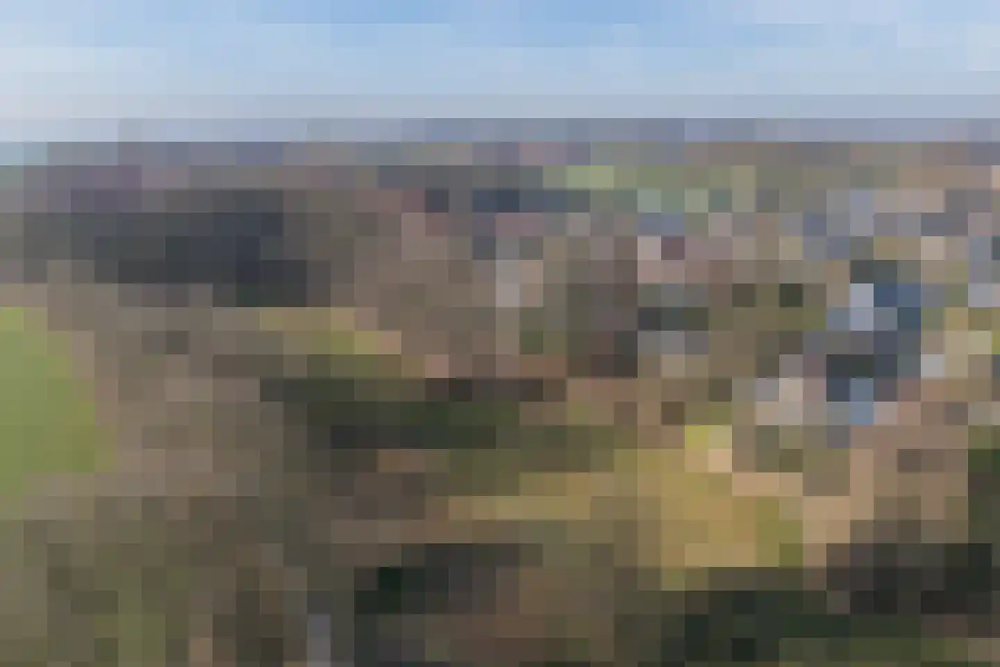 Stobbenkamp 29 Ootmarsum thumbnail 63