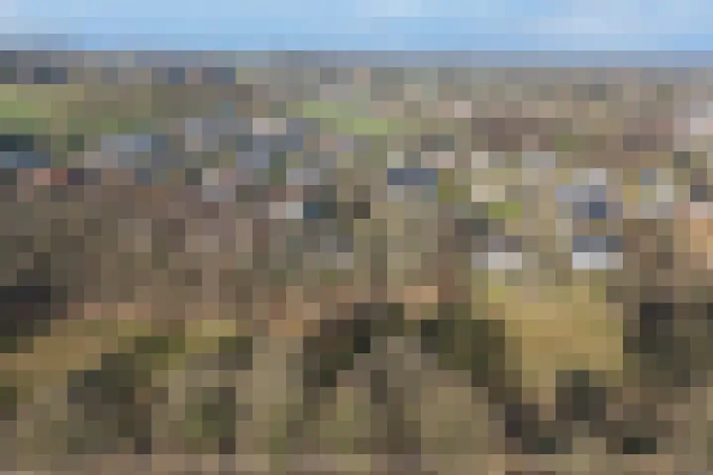 Stobbenkamp 29 Ootmarsum thumbnail 64