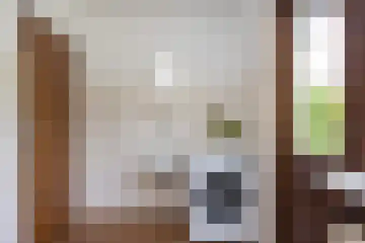 Stobbenkamp 36 Ootmarsum thumbnail 17