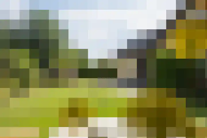 Stobbenkamp 36 Ootmarsum thumbnail 24