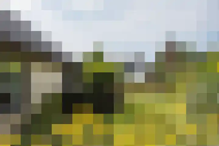 Stobbenkamp 36 Ootmarsum thumbnail 25