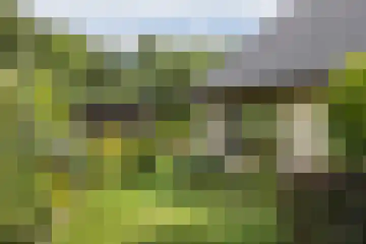 Stobbenkamp 36 Ootmarsum thumbnail 26