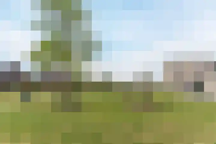 Stobbenveen 4 Dongen thumbnail 35