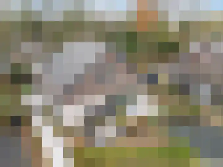 Stobbenveld 30 Ermelo thumbnail 5
