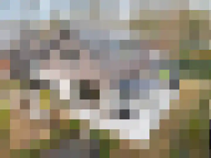 Stobbenveld 30 Ermelo thumbnail 65