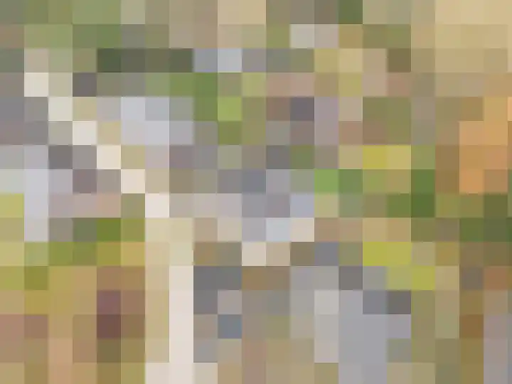 Stobbenveld 30 Ermelo thumbnail 71