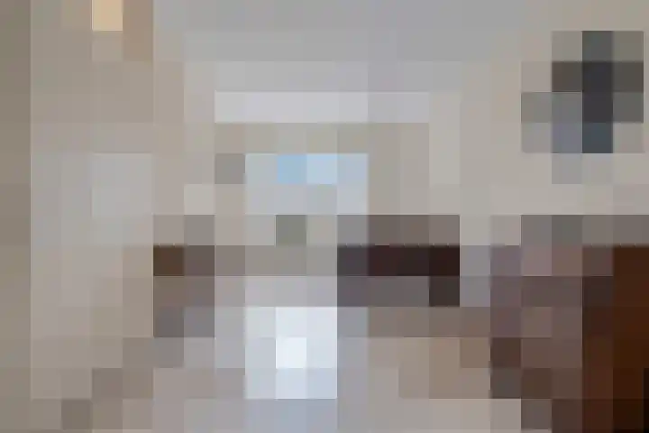 Stobbenven 14 Roden thumbnail 15