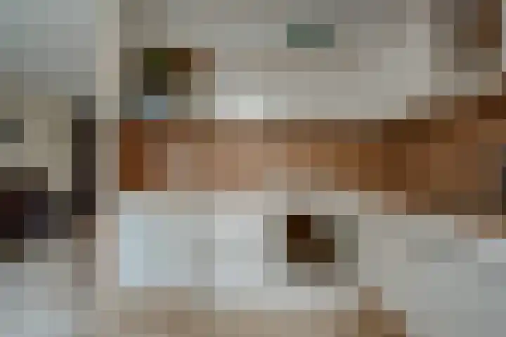 Stobbenven 14 Roden thumbnail 19