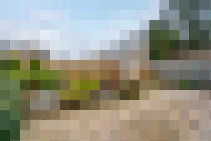 Stobbenven 14 Roden thumbnail 26