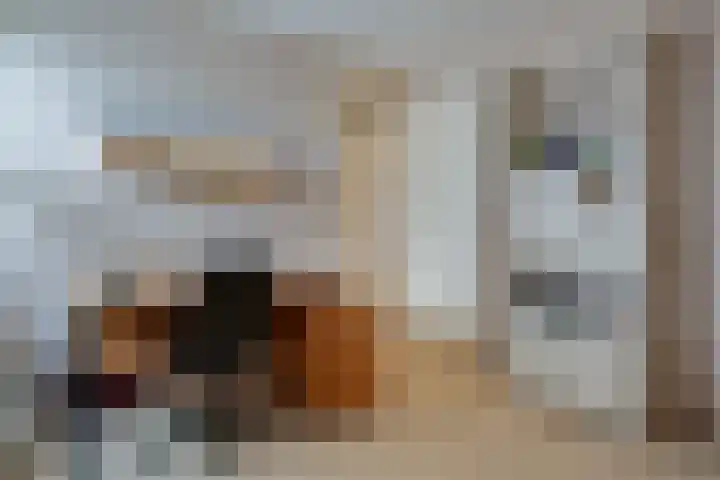 Stobbenven 14 Roden thumbnail 29