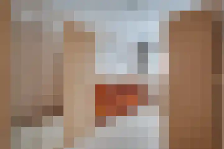 Stobbenven 14 Roden thumbnail 30