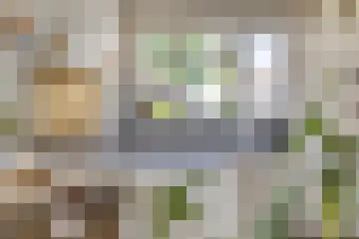 Stobbenweg 38 Dronten thumbnail 24