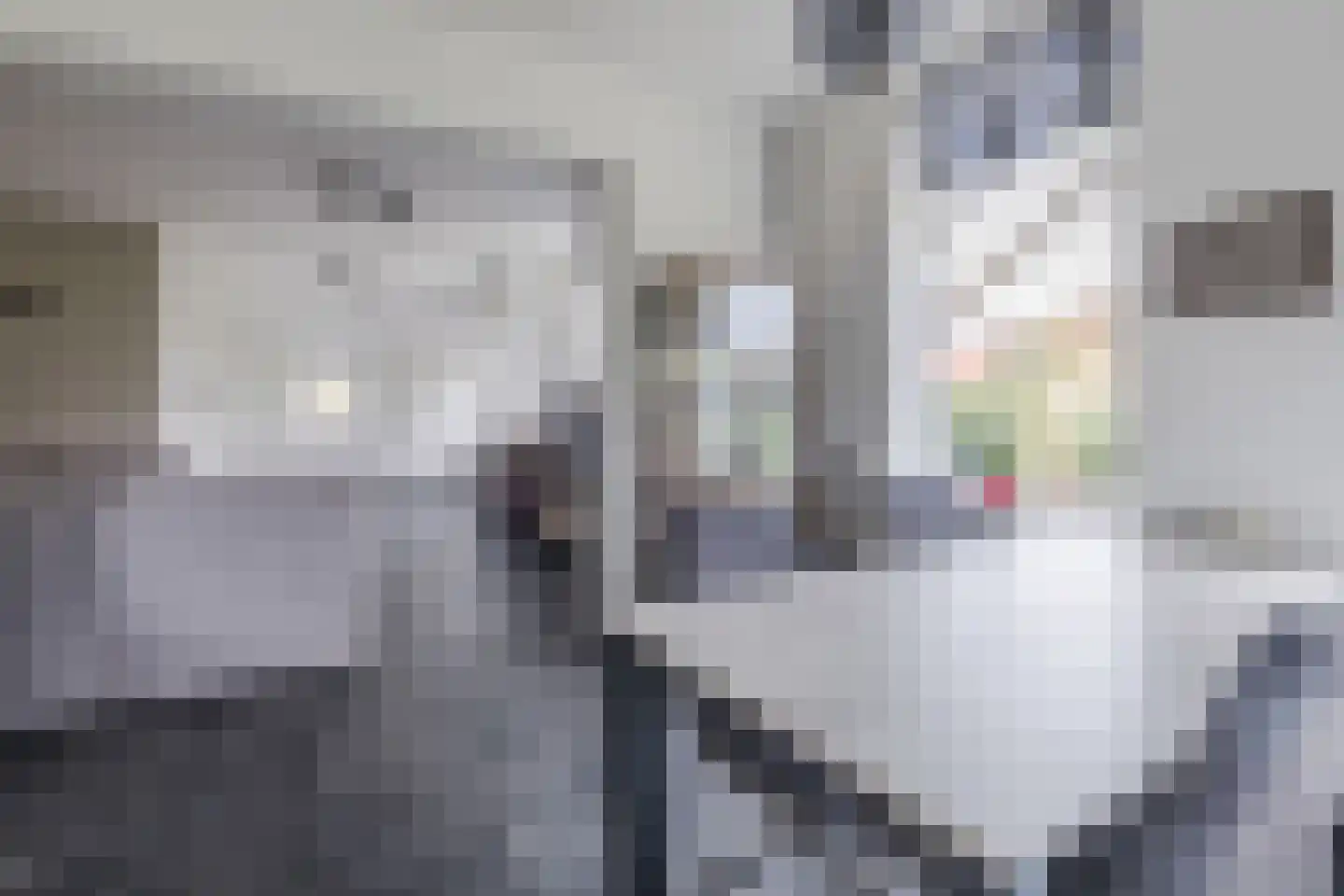 Stobbenweg 4 Bourtange thumbnail 14