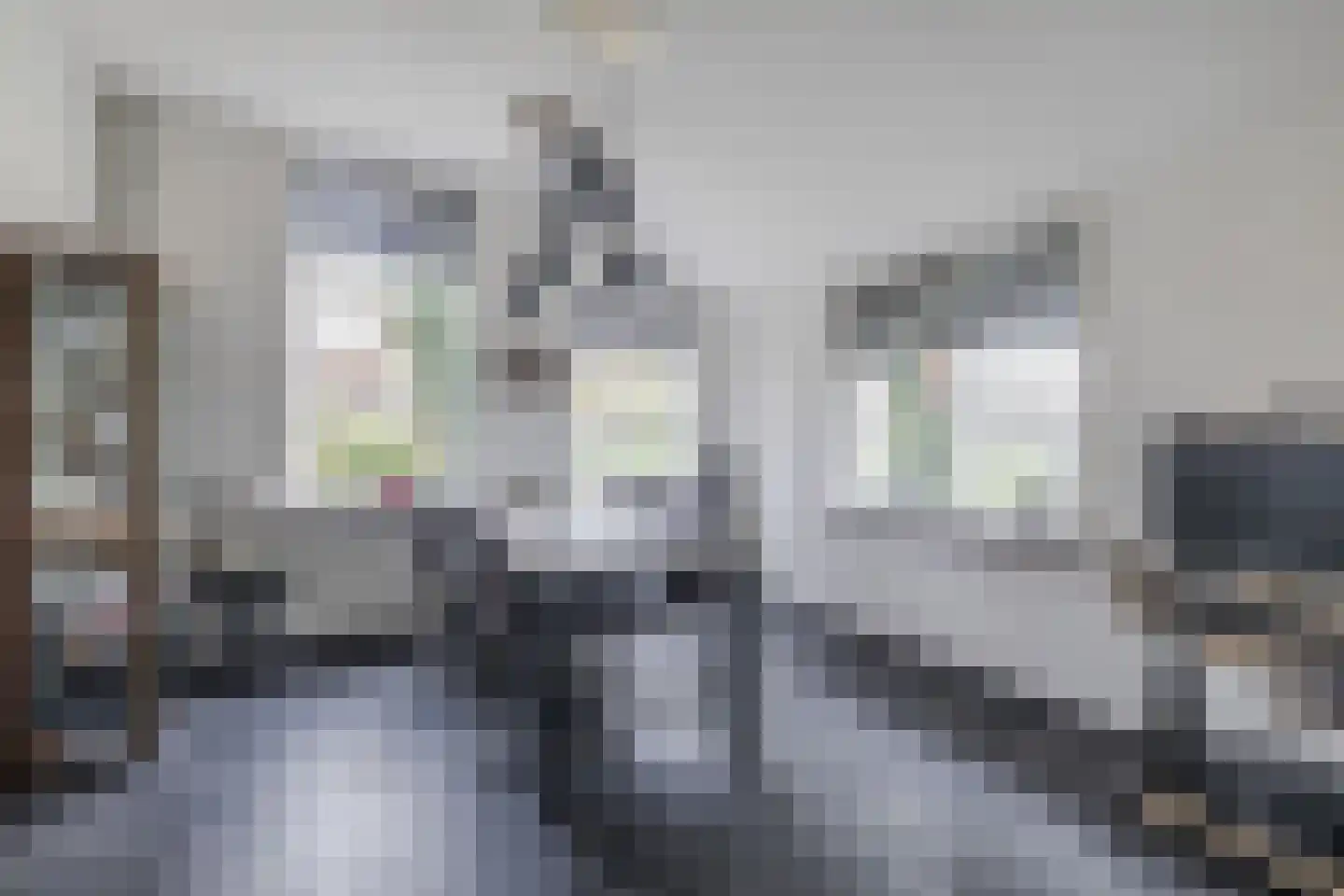 Stobbenweg 4 Bourtange thumbnail 16