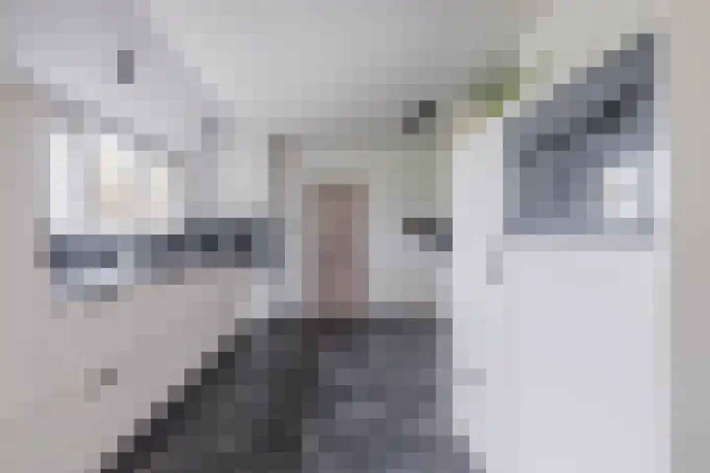 Stobbenweg 4 Bourtange thumbnail 20