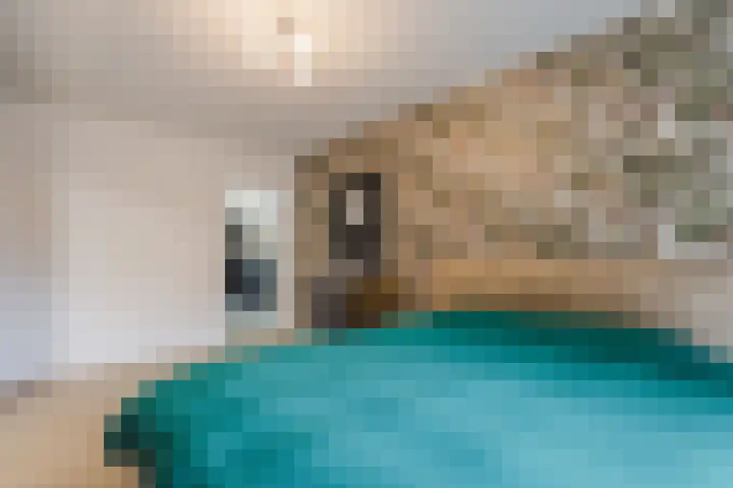 Stobbenweg 4 Bourtange thumbnail 25