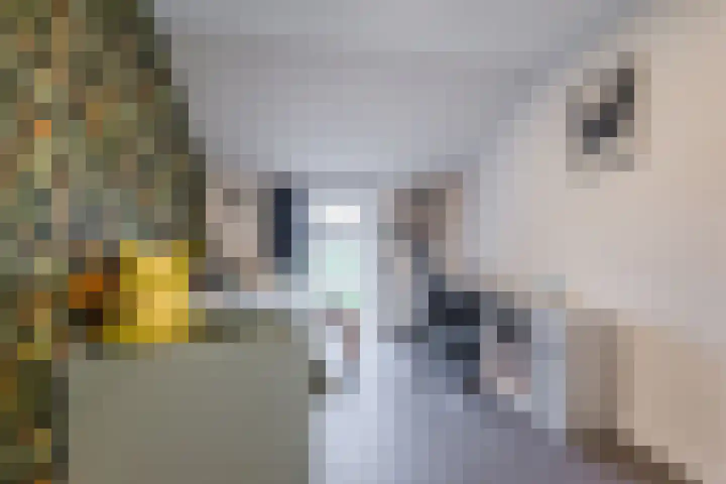 Stobbenweg 4 Bourtange thumbnail 35