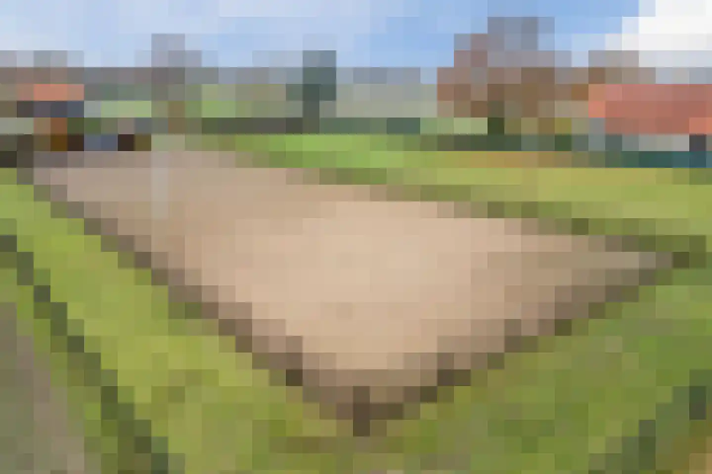Stobbenweg 4 Bourtange thumbnail 4