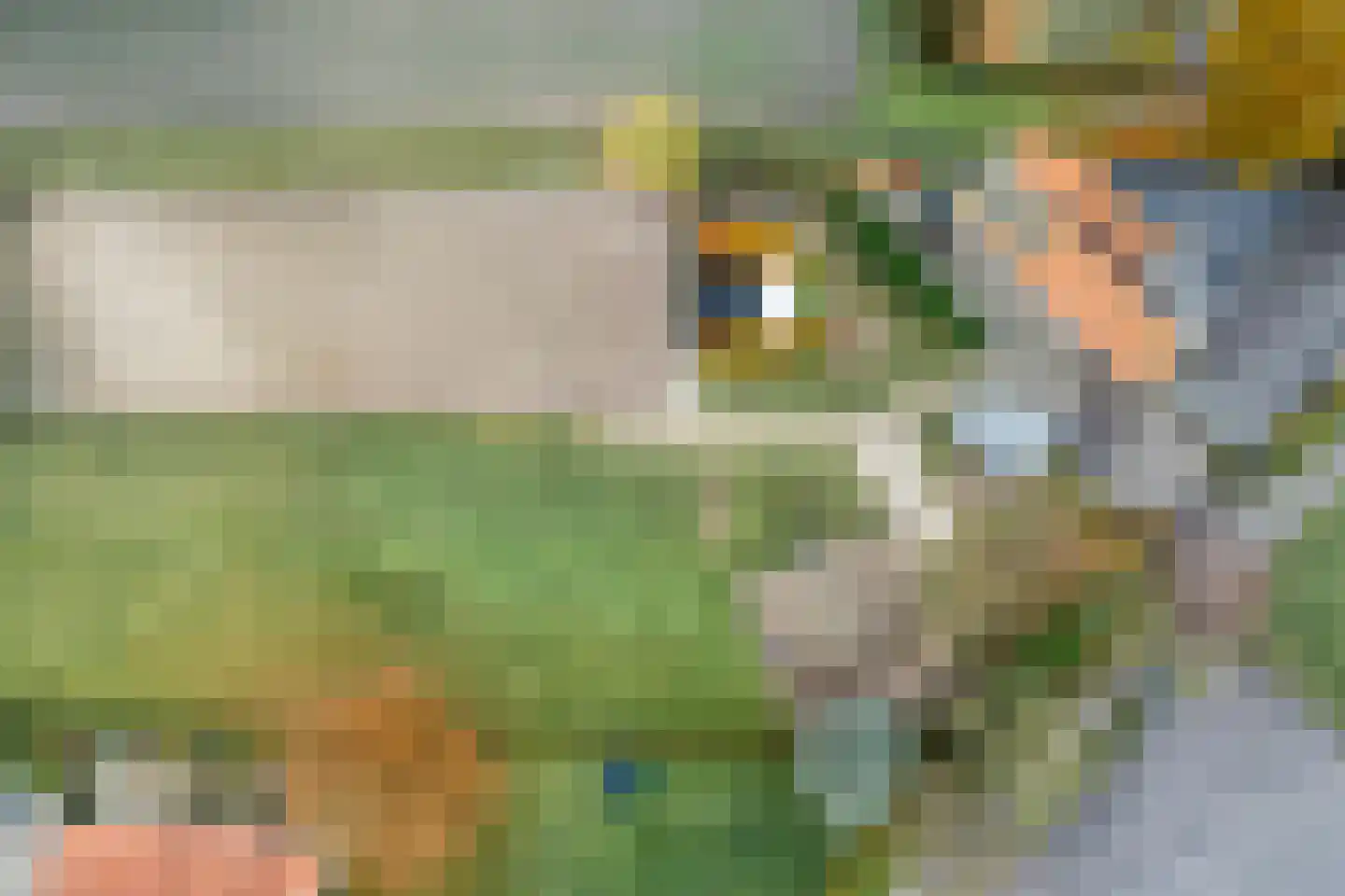 Stobbenweg 4 Bourtange thumbnail 58
