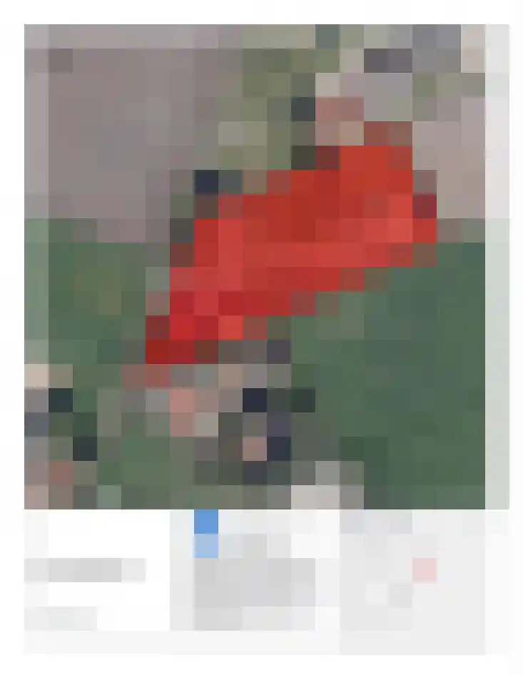 Stobbenweg 4 Bourtange thumbnail 74
