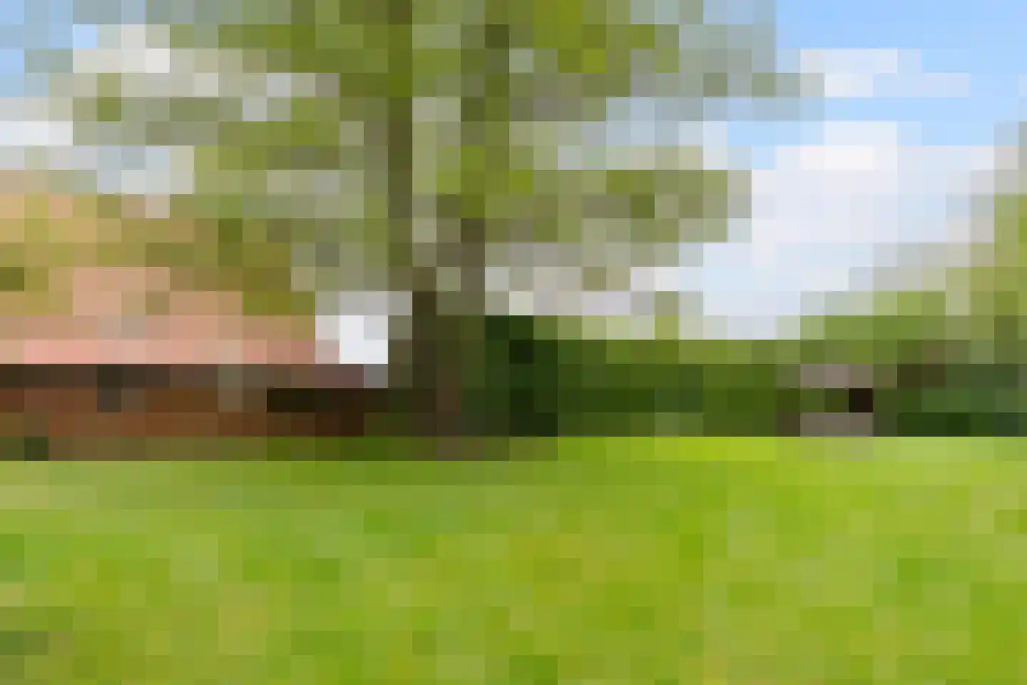 Stobbenweg 8 Bourtange thumbnail 50