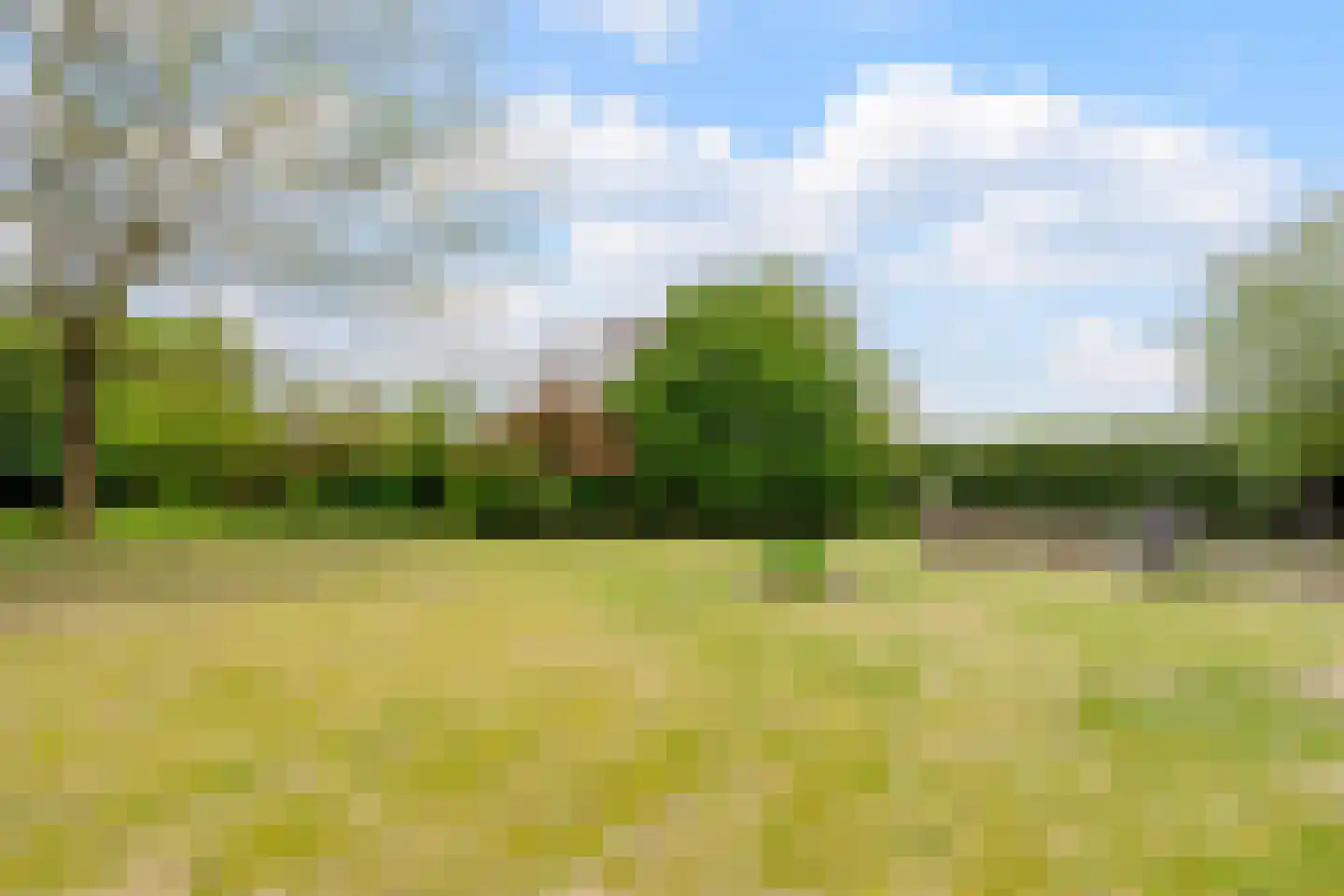 Stobbenweg 8 Bourtange thumbnail 52