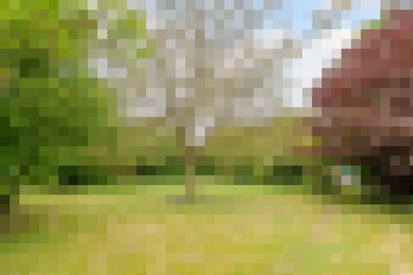 Stobbenweg 8 Bourtange thumbnail 55