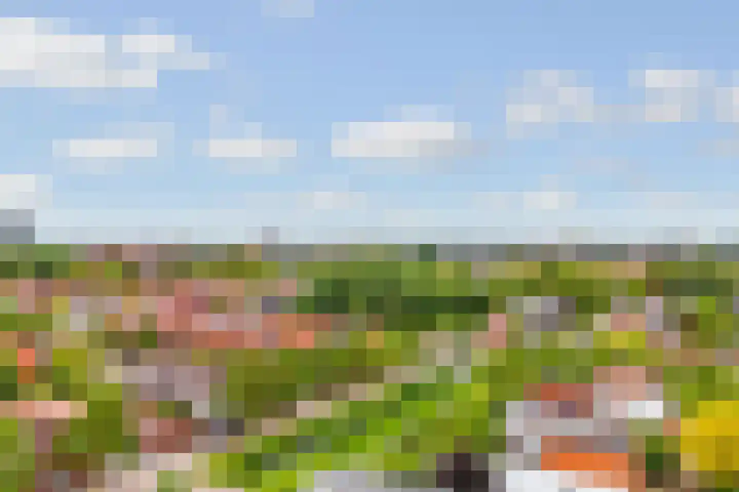 Stobberakplantsoen 14 Utrecht thumbnail 39
