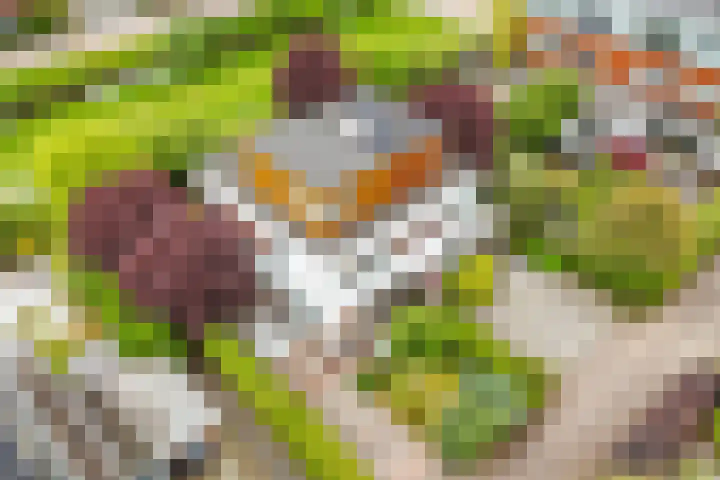 Stobberakplantsoen 14 Utrecht thumbnail 4