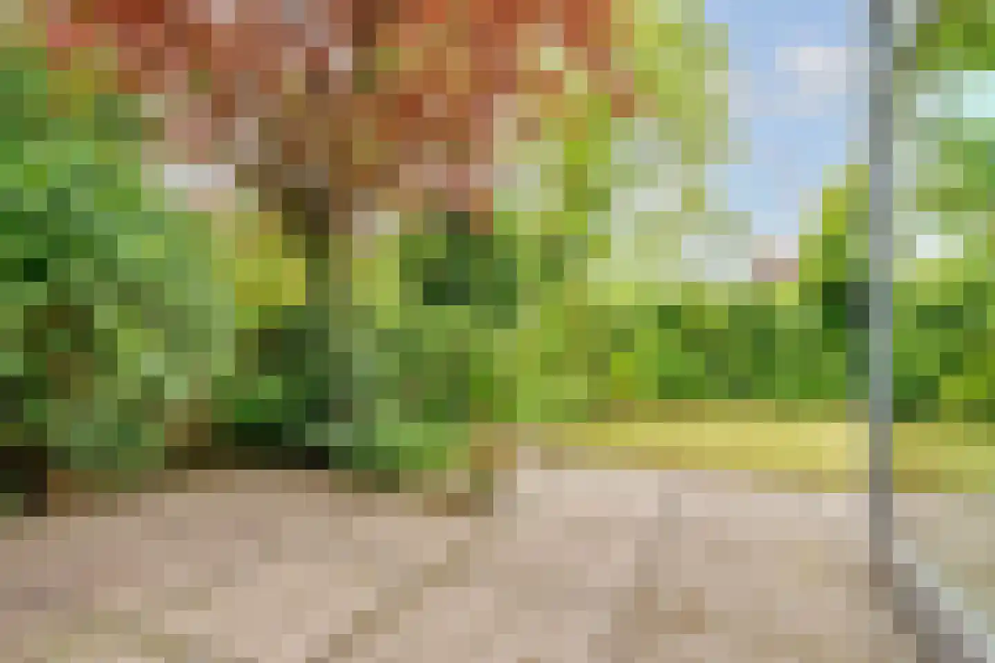 Stobberakplantsoen 14 Utrecht thumbnail 47