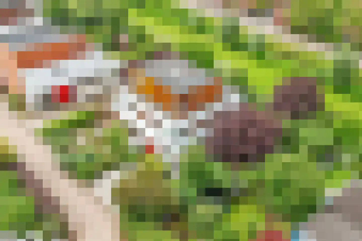 Stobberakplantsoen 16 Utrecht thumbnail 21