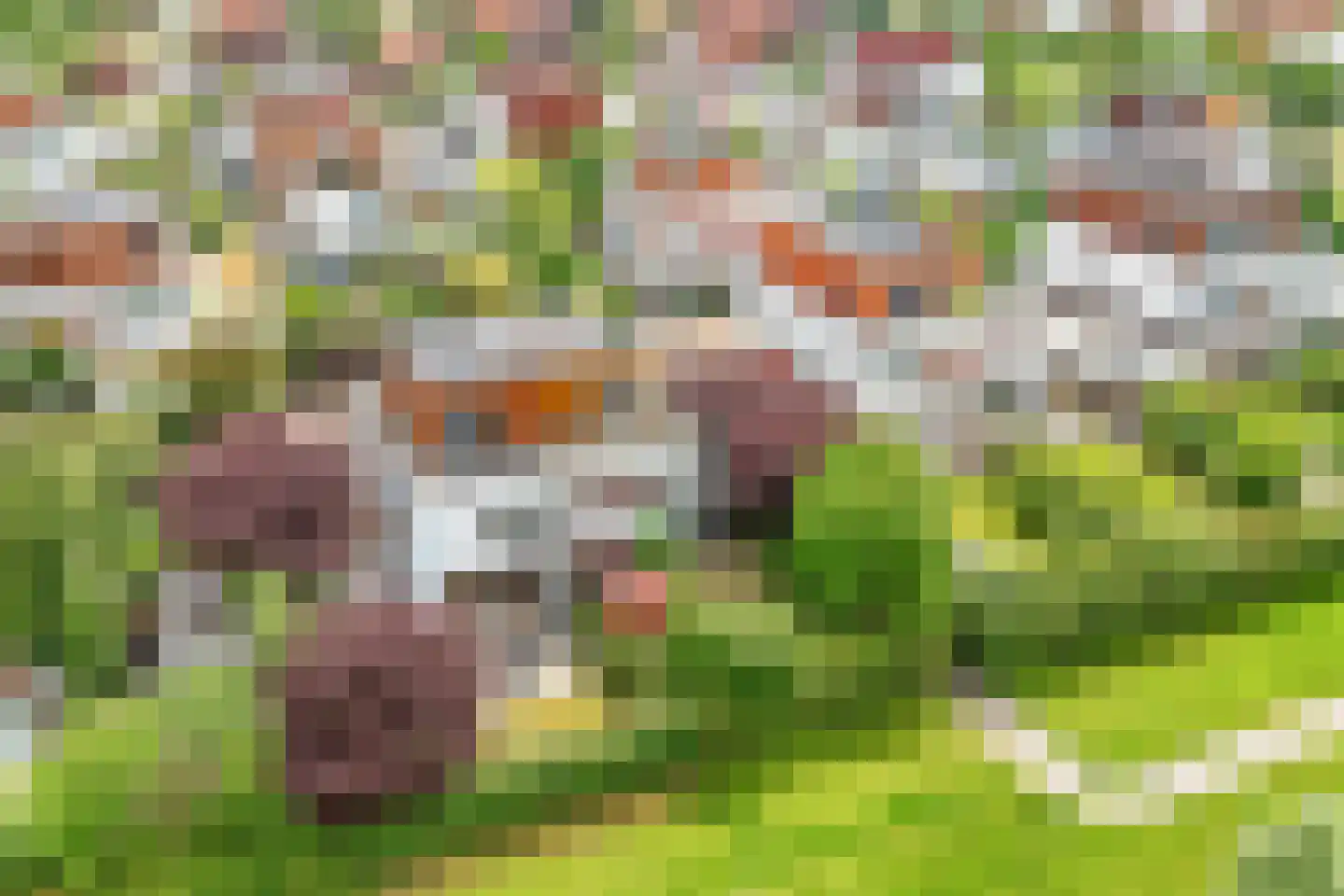 Stobberakplantsoen 16 Utrecht thumbnail 37