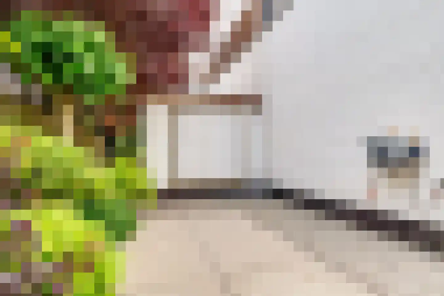 Stobberakplantsoen 16 Utrecht thumbnail 50