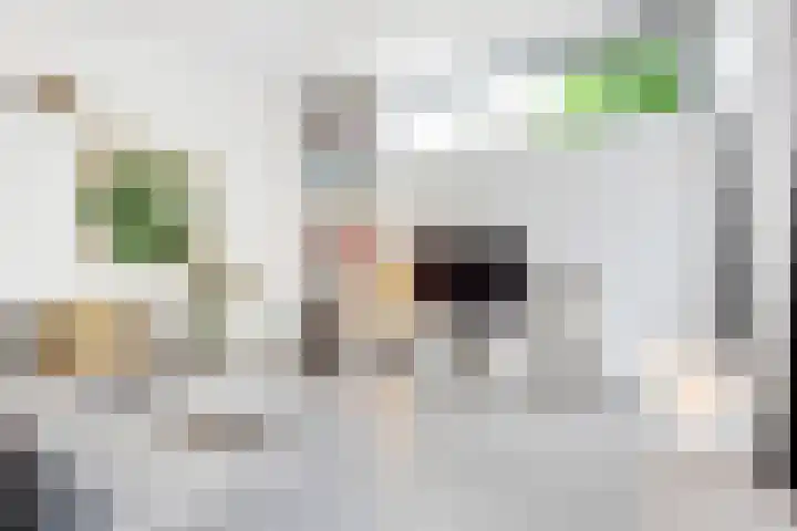 Stobberakplantsoen 42 Utrecht thumbnail 17