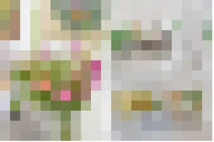 Stobberakplantsoen 42 Utrecht thumbnail 19