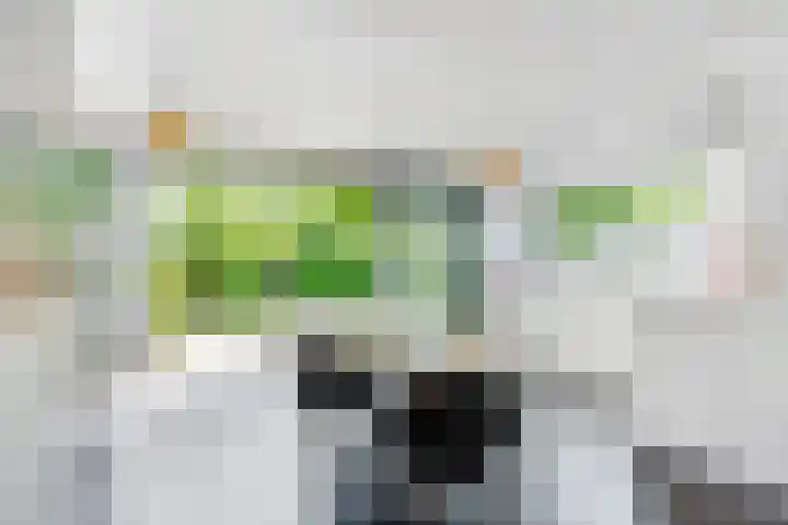 Stobberakplantsoen 42 Utrecht thumbnail 21