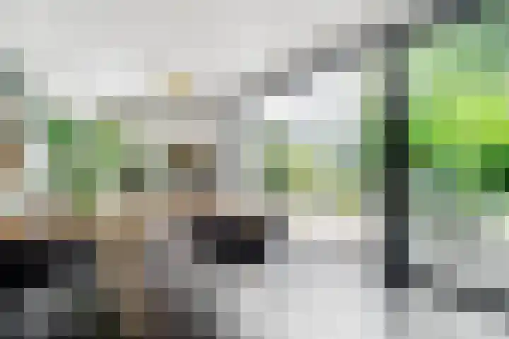 Stobberakplantsoen 42 Utrecht thumbnail 23