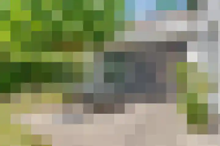 Stobberakplantsoen 42 Utrecht thumbnail 29