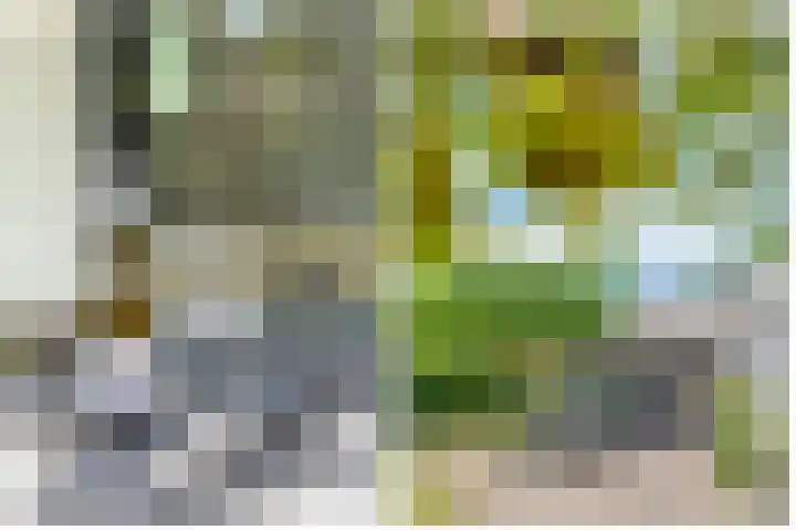 Stobberakplantsoen 42 Utrecht thumbnail 31