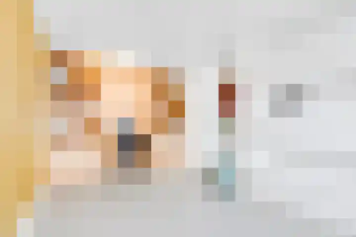 Stobberakplantsoen 42 Utrecht thumbnail 33