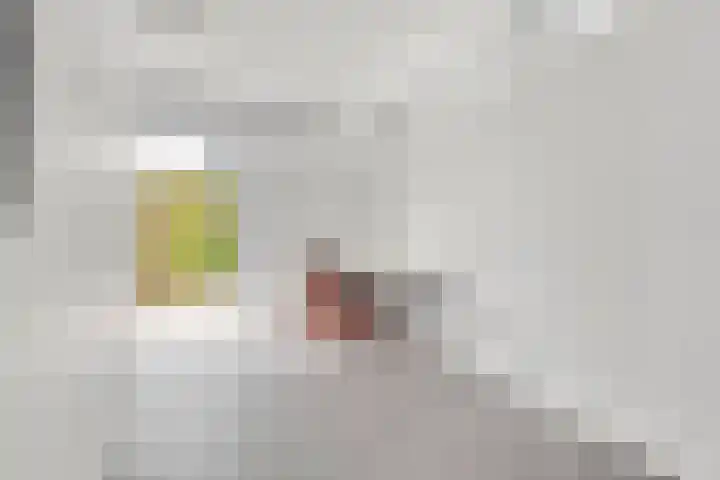 Stobberakplantsoen 42 Utrecht thumbnail 34