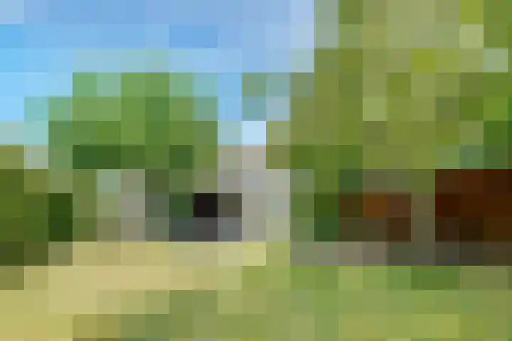 Stobberakplantsoen 42 Utrecht thumbnail 4