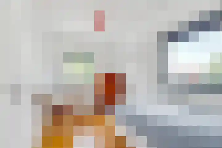 Stobberakplantsoen 42 Utrecht thumbnail 41