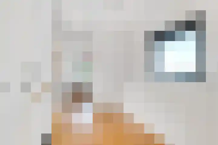 Stobberakplantsoen 42 Utrecht thumbnail 44